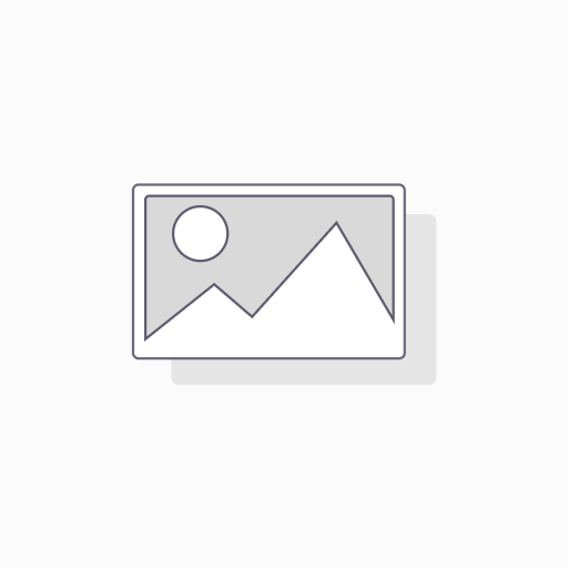 TIMER MERCURY